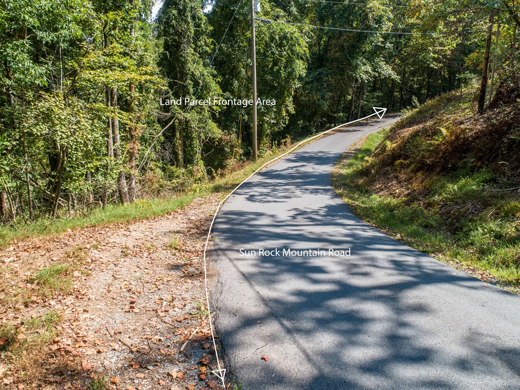 1003 Sun Rock Mountain Road Blue Ridge, GA 30513 - Photo 6 of 36
