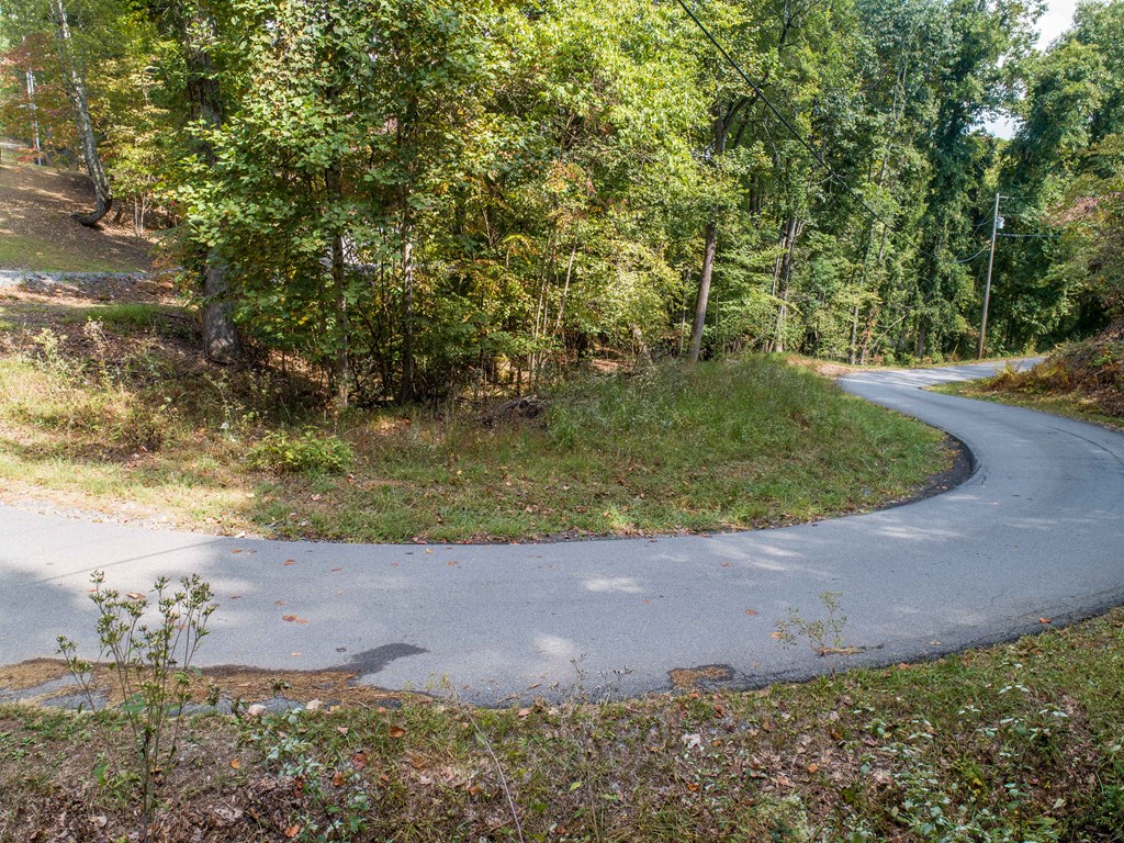 1003 Sun Rock Mountain Road Blue Ridge, GA 30513 - Photo 7 of 36