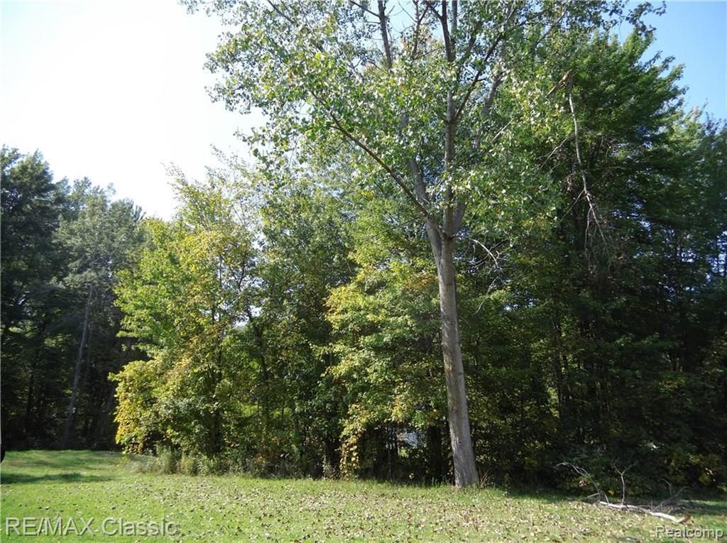 21341 Haggerty Road Belleville, MI 48111 - Photo 58 of 62