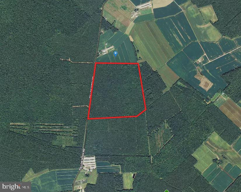 0 Follow Ditch Road Pocomoke City, MD 21851 - Photo 1 of 1