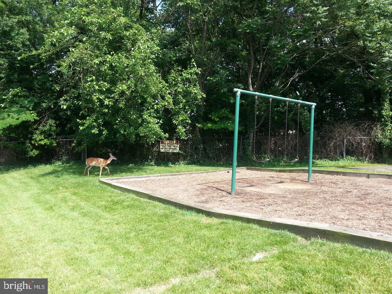 2605 Redcoat Drive, Unit 252 Alexandria, VA 22303 - Photo 17 of 26 a backyard of a house with plants and large trees