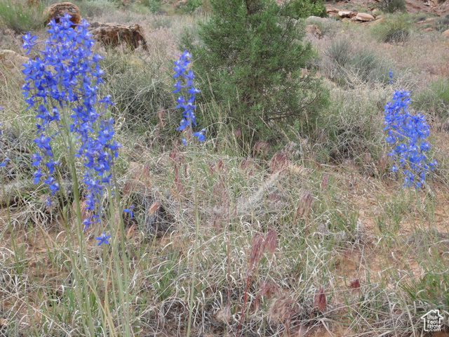 Interstate Highway Thompson, UT 84540 - Photo 8 of 10 A burst of color