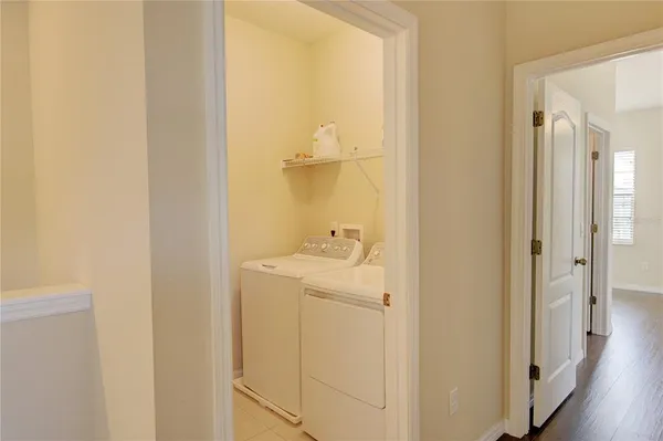 a view of a garden from a window