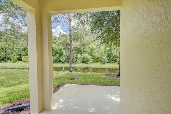 a view of a garden with a tree