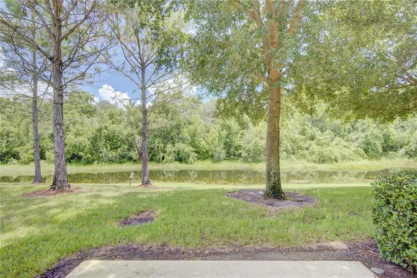 a view of a house with backyard and a tree
