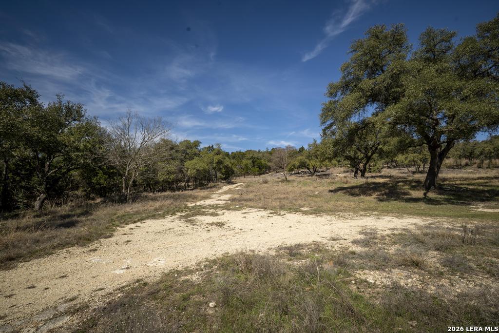 15300 Highway 46 Spring Branch, TX 78070 - Photo 22 of 50