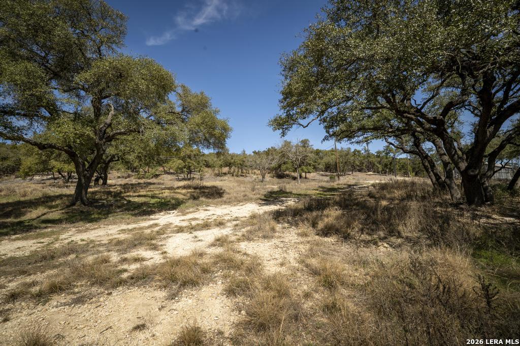 15300 Highway 46 Spring Branch, TX 78070 - Photo 24 of 50