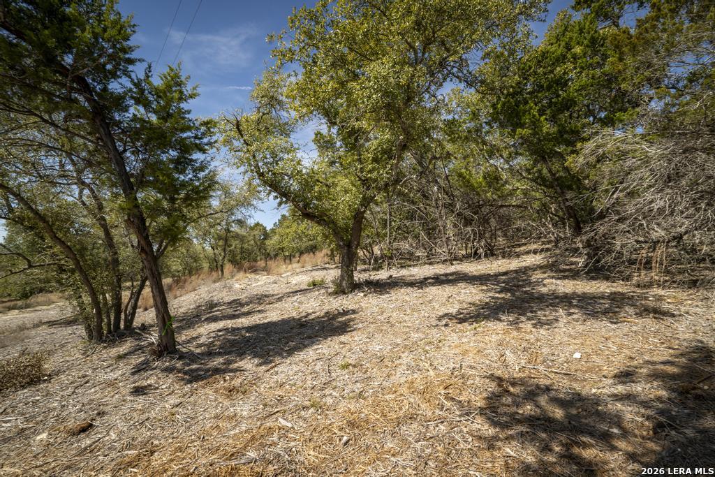 15300 Highway 46 Spring Branch, TX 78070 - Photo 34 of 50