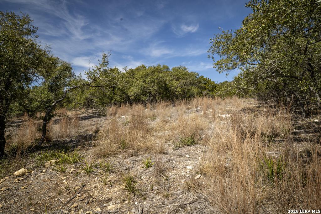 15300 Highway 46 Spring Branch, TX 78070 - Photo 36 of 50