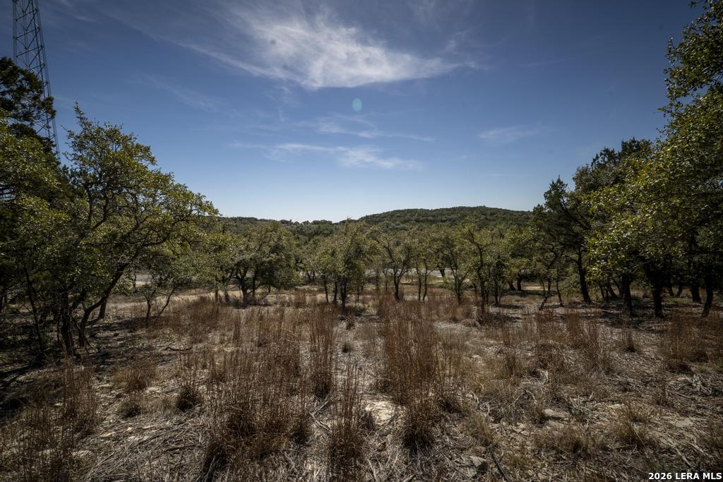 15300 Highway 46 Spring Branch, TX 78070 - Photo 38 of 50