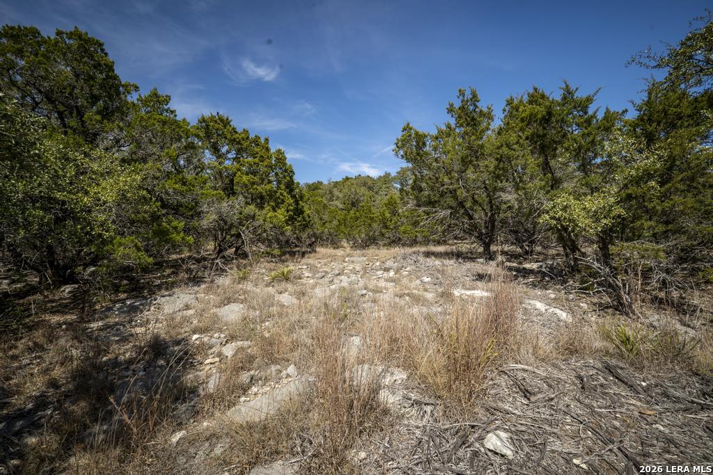 15300 Highway 46 Spring Branch, TX 78070 - Photo 39 of 50