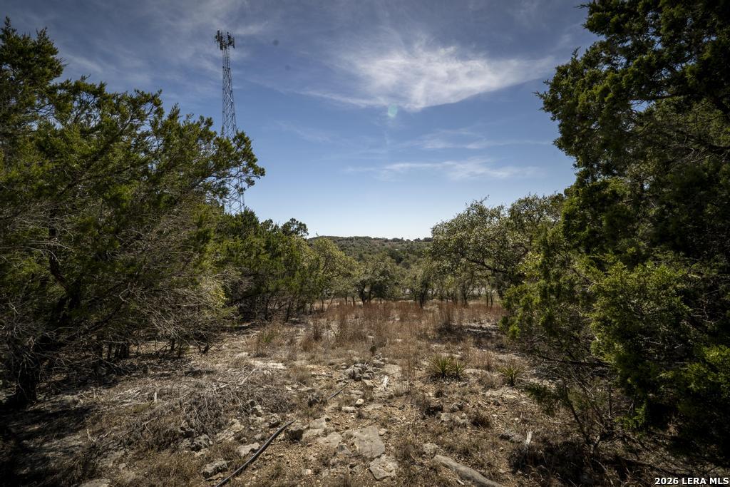 15300 Highway 46 Spring Branch, TX 78070 - Photo 40 of 50