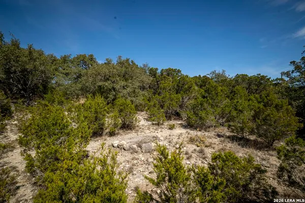 $650,000 | 15300 Highway 46, Spring Branch, TX 78070