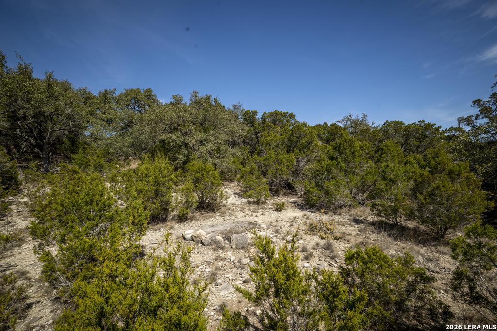 15300 Highway 46 Spring Branch, TX 78070 - Photo 41 of 50