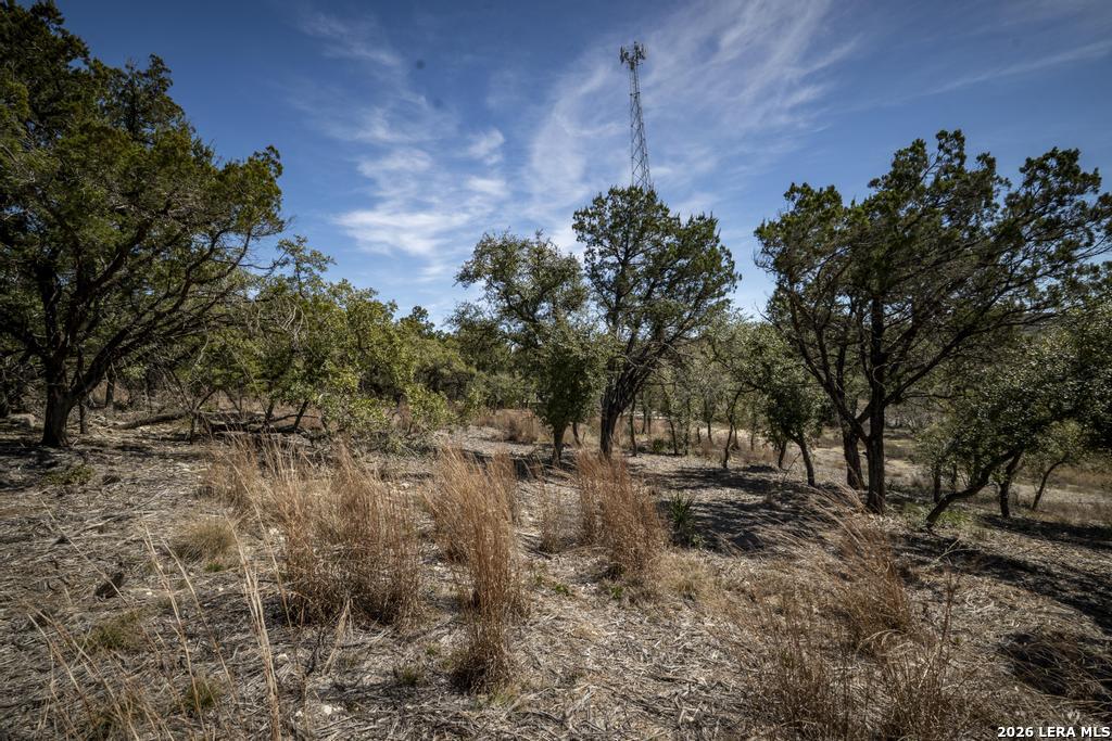 15300 Highway 46 Spring Branch, TX 78070 - Photo 45 of 50