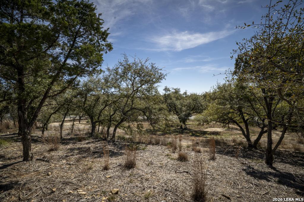 15300 Highway 46 Spring Branch, TX 78070 - Photo 46 of 50