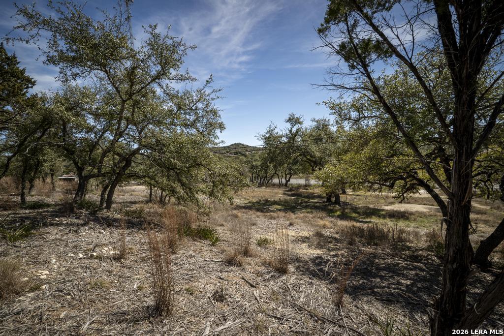 15300 Highway 46 Spring Branch, TX 78070 - Photo 47 of 50