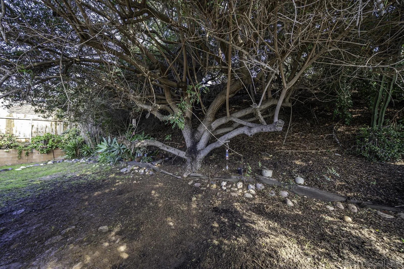 889 Galopago Street Spring Valley, CA 91977 - Photo 41 of 52 a backyard of a house with lots of green space