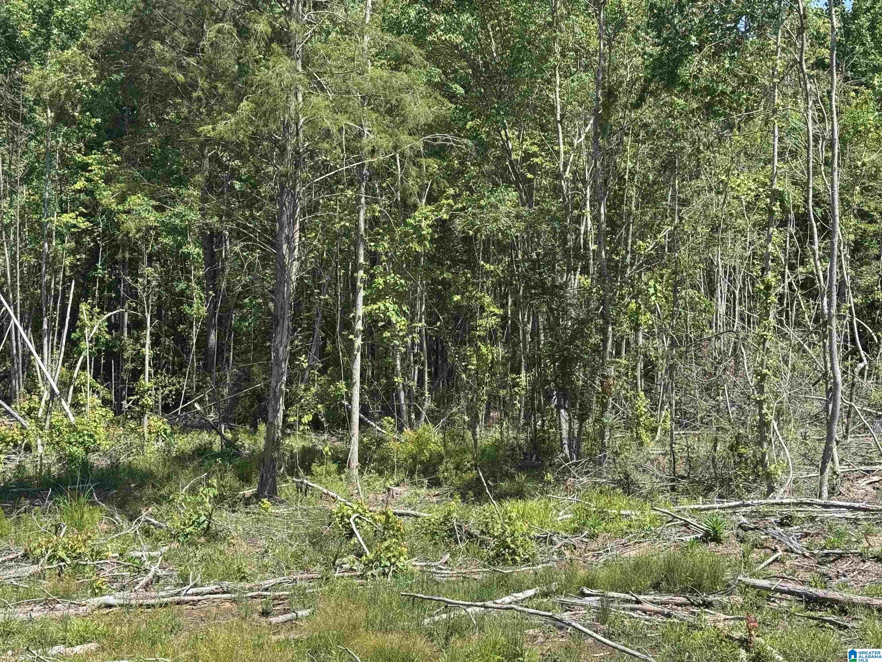 Active Road, Unit 4 Lawley, AL 36793 - Photo 9 of 12