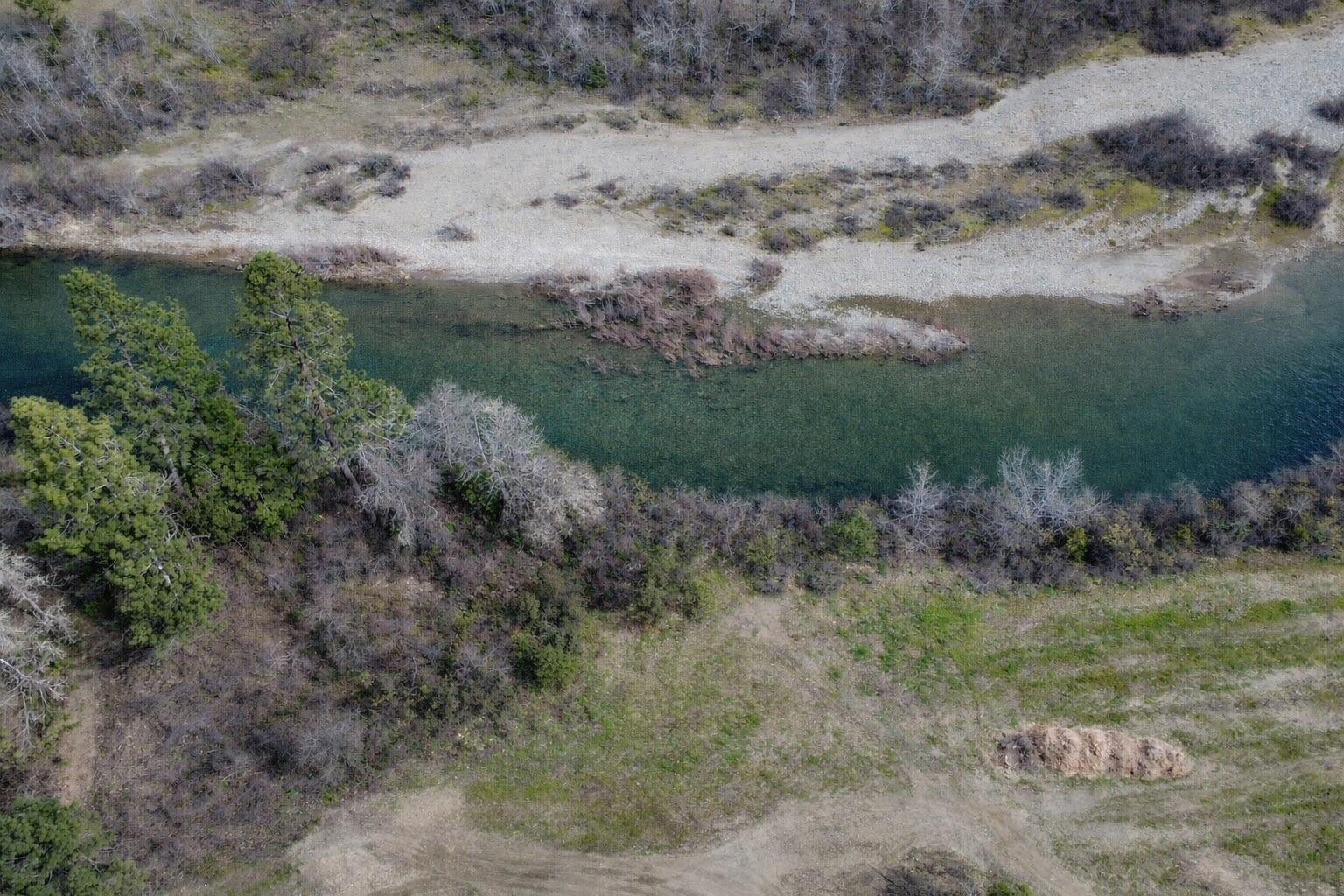 1449 Rockydale Road Cave Junction, OR 97523 - Photo 6 of 11 a view of a pathway with a yard