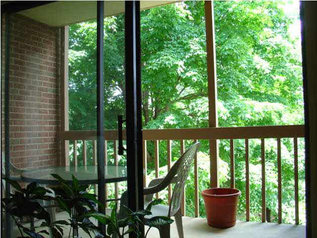 134 Turtle Creek Road, Unit 6 Charlottesville, VA 22901 - Photo 5 of 5 a view of a city from a balcony