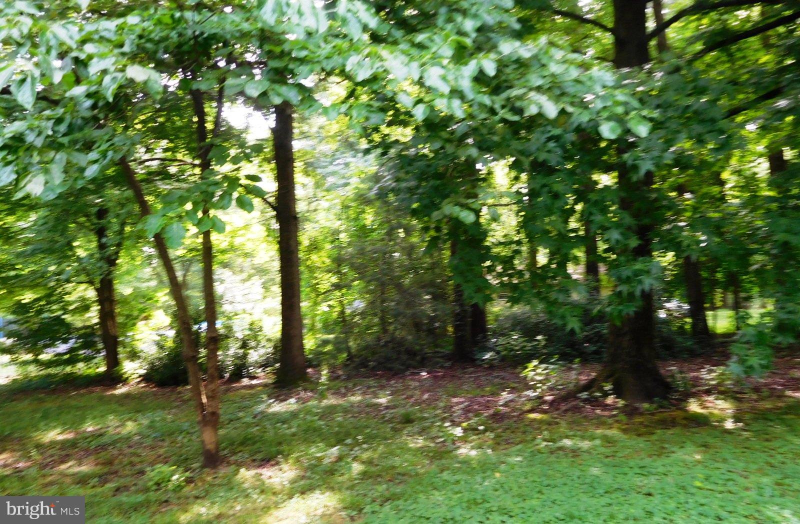 126 Parma Road Chestertown, MD 21620 - Photo 10 of 10 View