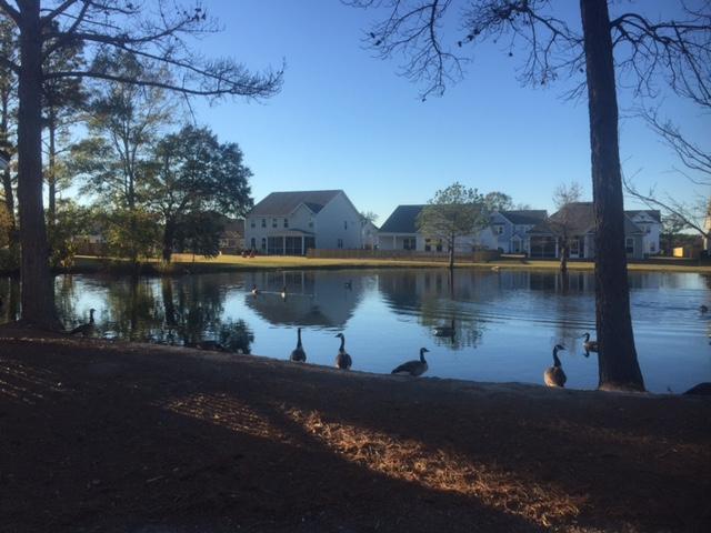 126 Cypress Plantation Road Moncks Corner, SC 29461 - Photo 34 of 38 STR Lake