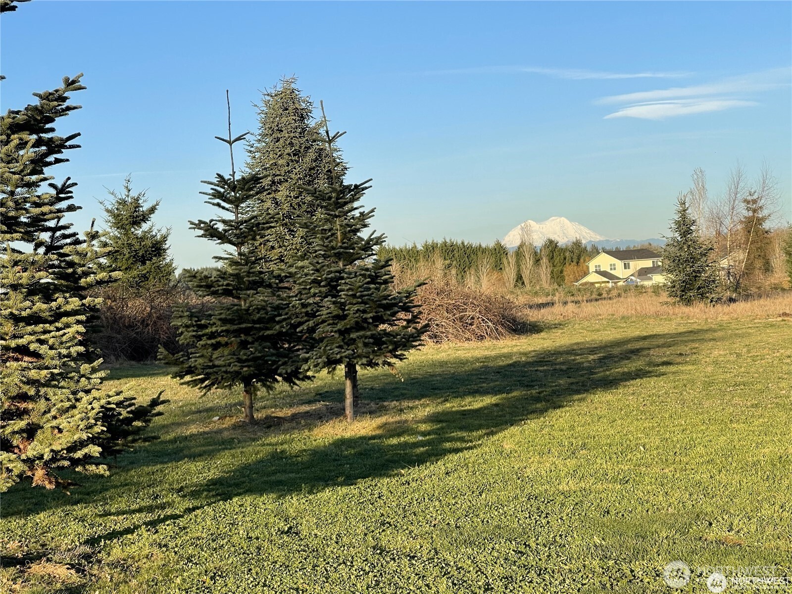 415 Highway 505 Winlock, WA 98596 - Photo 7 of 11