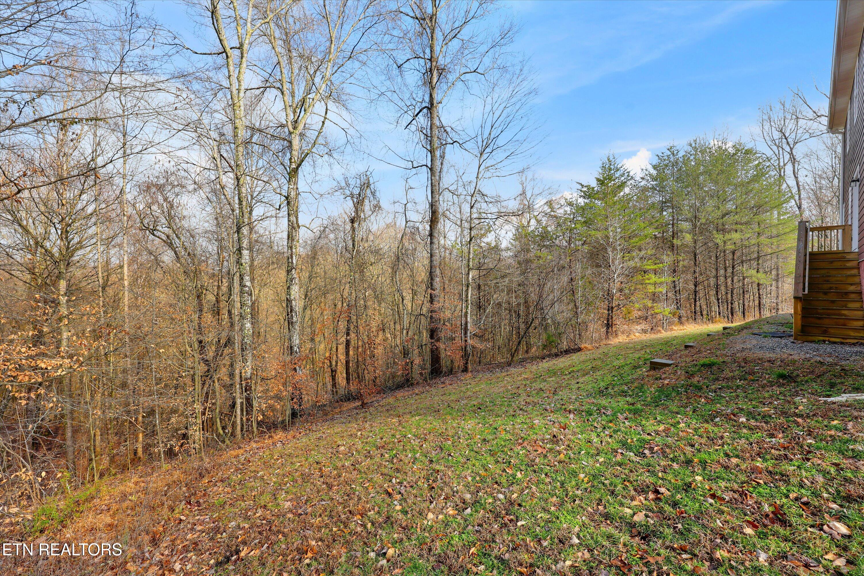 9332 Arlington Ridge Way Powell, TN 37849 - Photo 41 of 47 BACKYARD