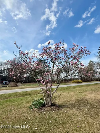 $275,000 | 5941 Long Ridge Road, Plymouth, NC 27962