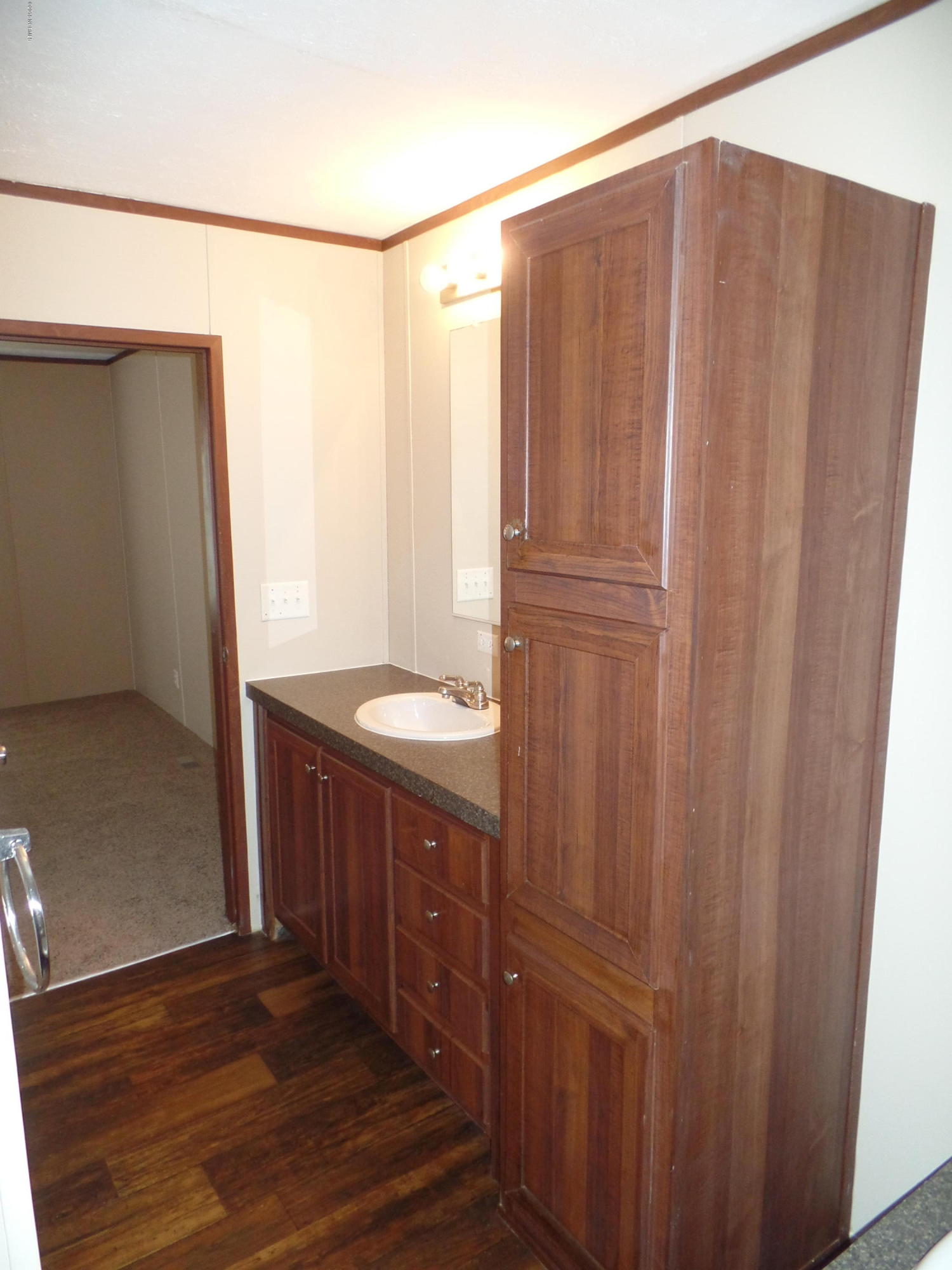 534 Butler Road Salemburg, NC 28385 - Photo 12 of 19 VMF 12 - Master bath 4