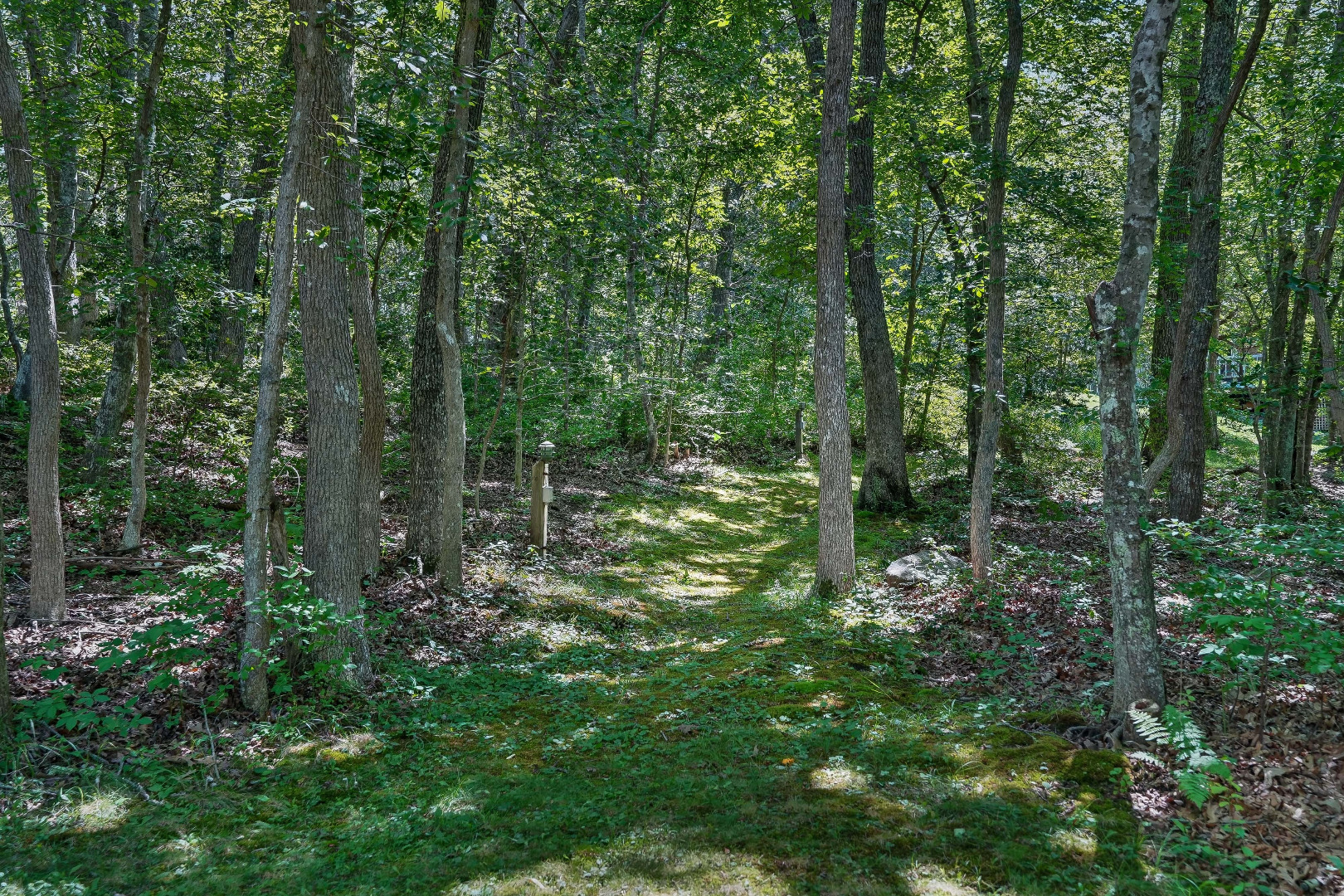 220 N Road Chilmark, MA 02535 - Photo 21 of 39 Path to Guest house