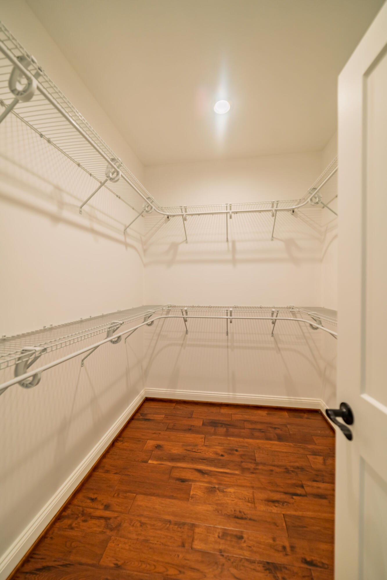 301 Carson Way Paducah, KY 42003 - Photo 53 of 79 Walk-in Closet