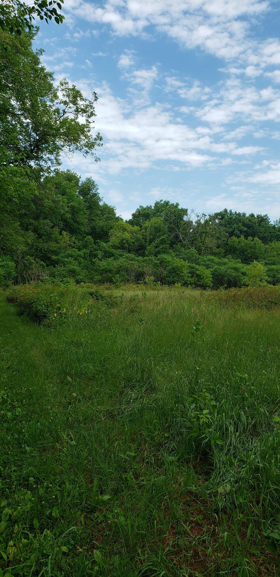 0 Sandy Lane Blue River, WI 53518 - Photo 1 of 1 Picture