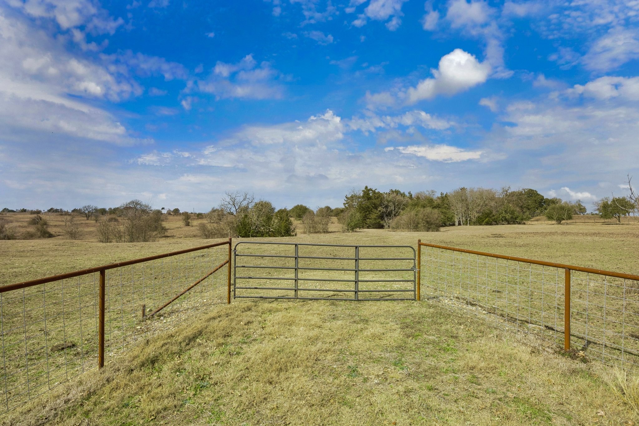 1372 North Nassau Road Round Top, TX 78954 - Photo 2 of 9