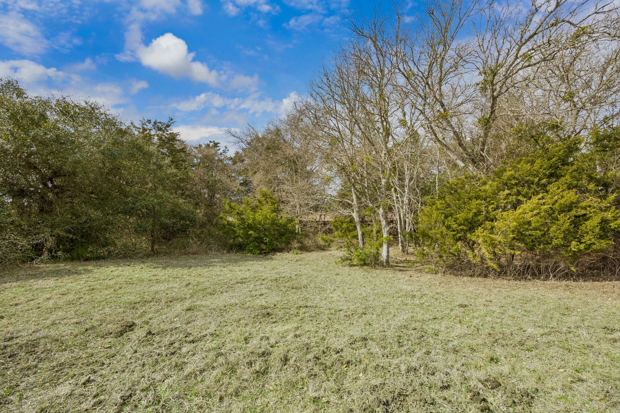 1372 North Nassau Road Round Top, TX 78954 - Photo 7 of 9