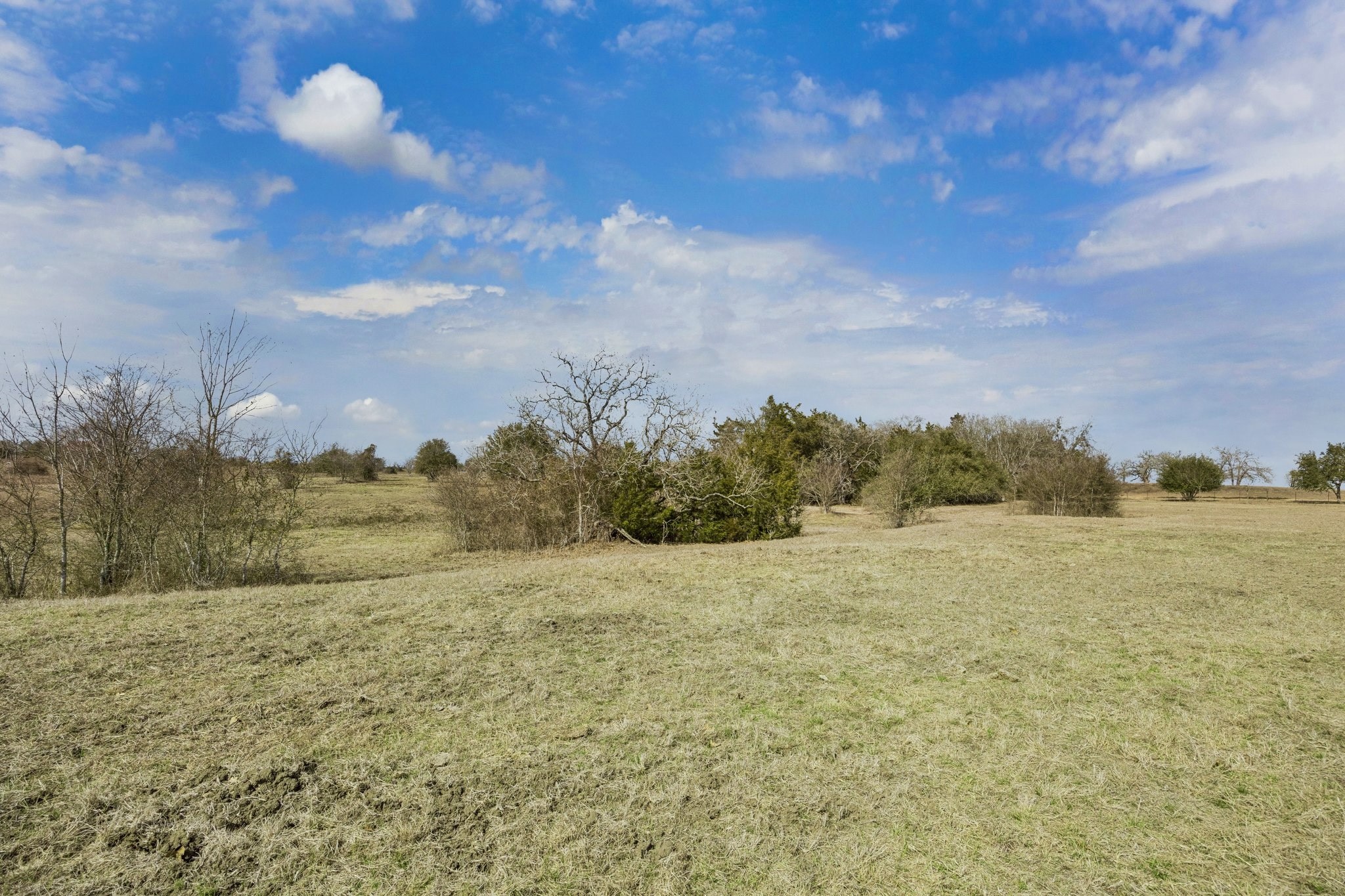 1372 North Nassau Road Round Top, TX 78954 - Photo 9 of 9