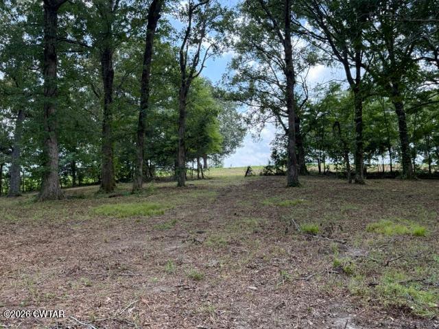 0 McBride Cemetery Road Sardis, TN 38371 - Photo 37 of 54 thumbnail (37)
