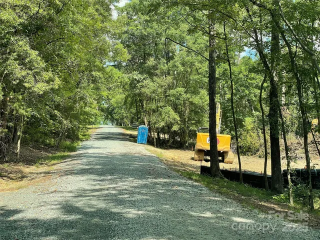 a view of a park with large trees