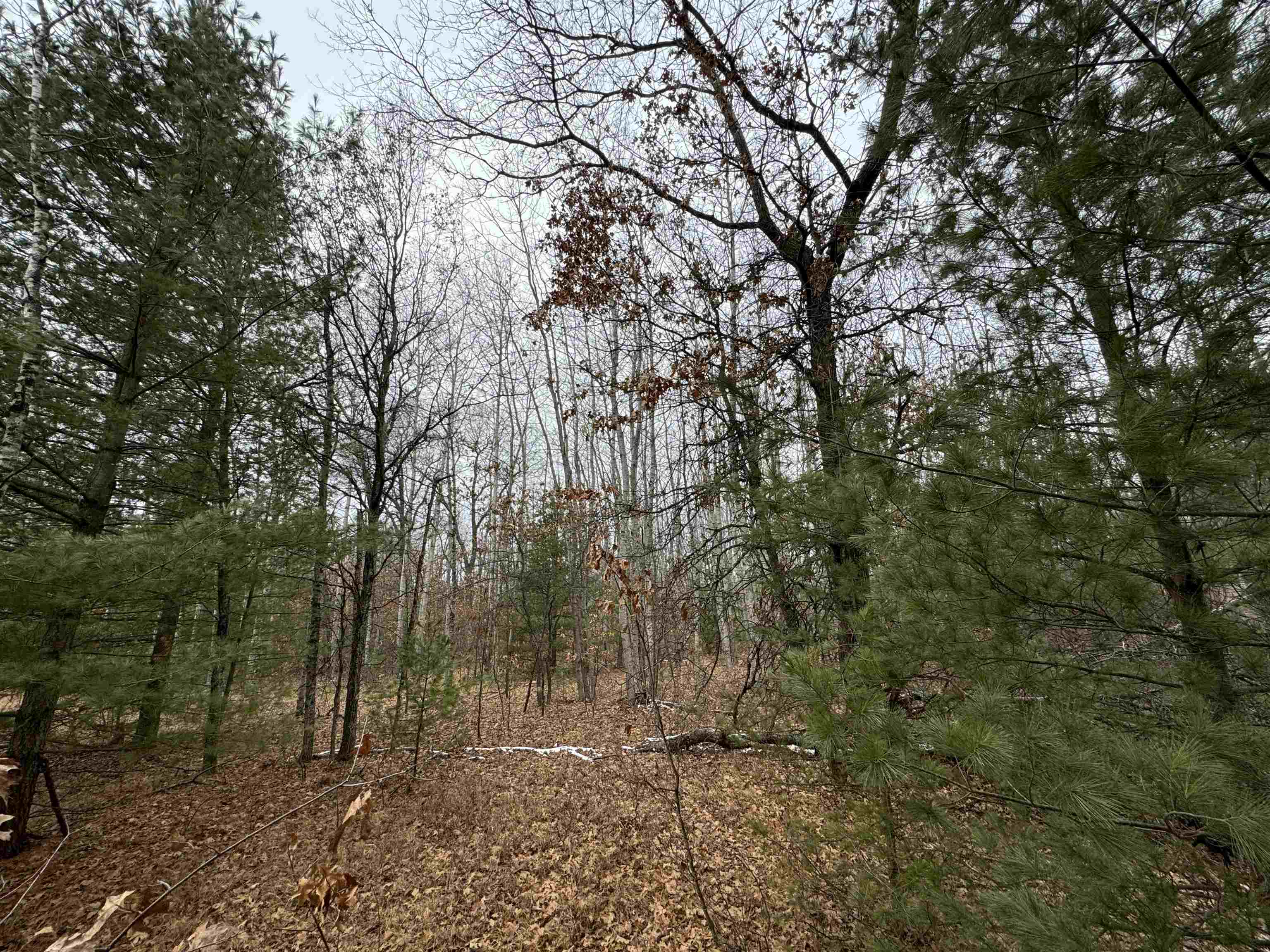0 Lagrant Road Sterling, MI 48659 - Photo 25 of 31