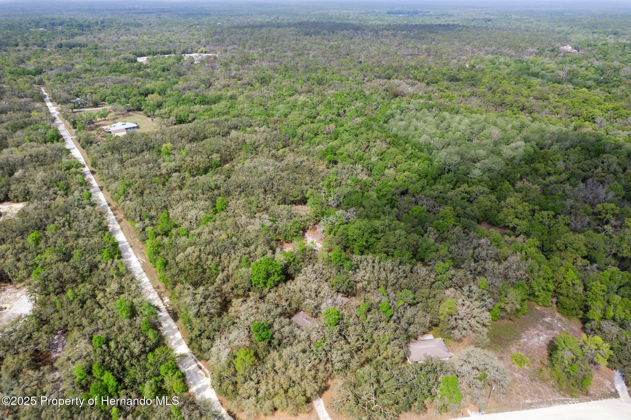 0 Rimrock Street Webster, FL 33597 - Photo 18 of 25