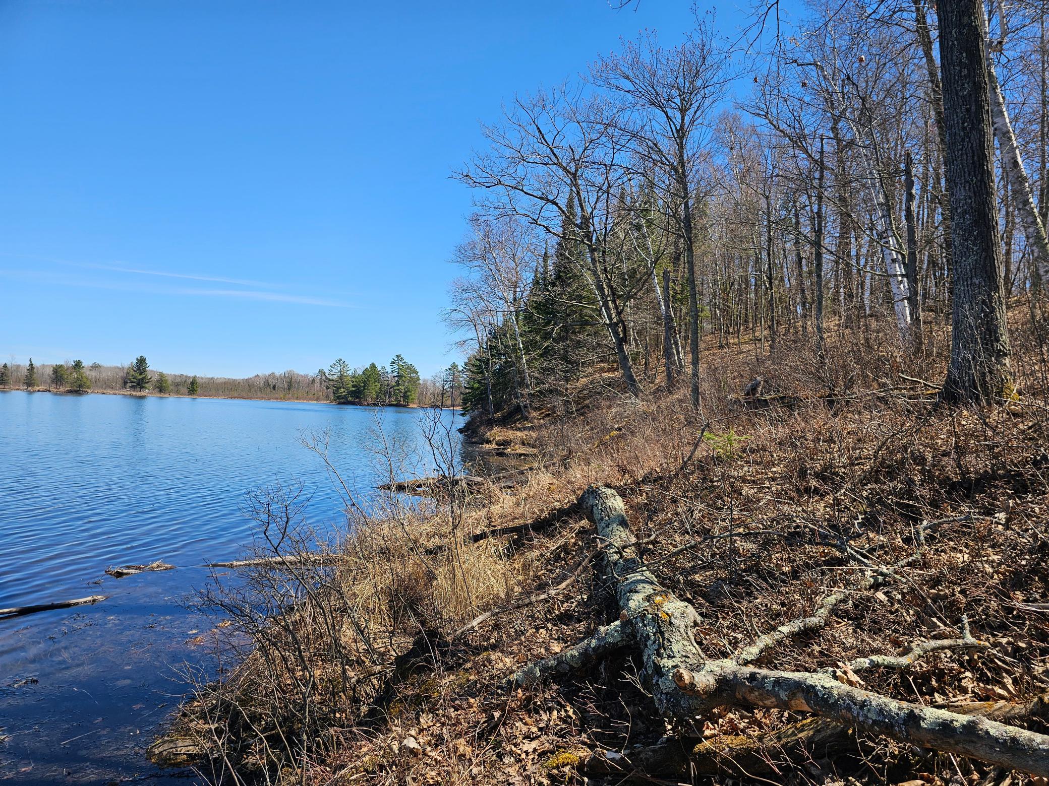 Tbd Tract B Tbd Tract B Swanson Road Deerwood, MN 56444 - Photo 1 of 11