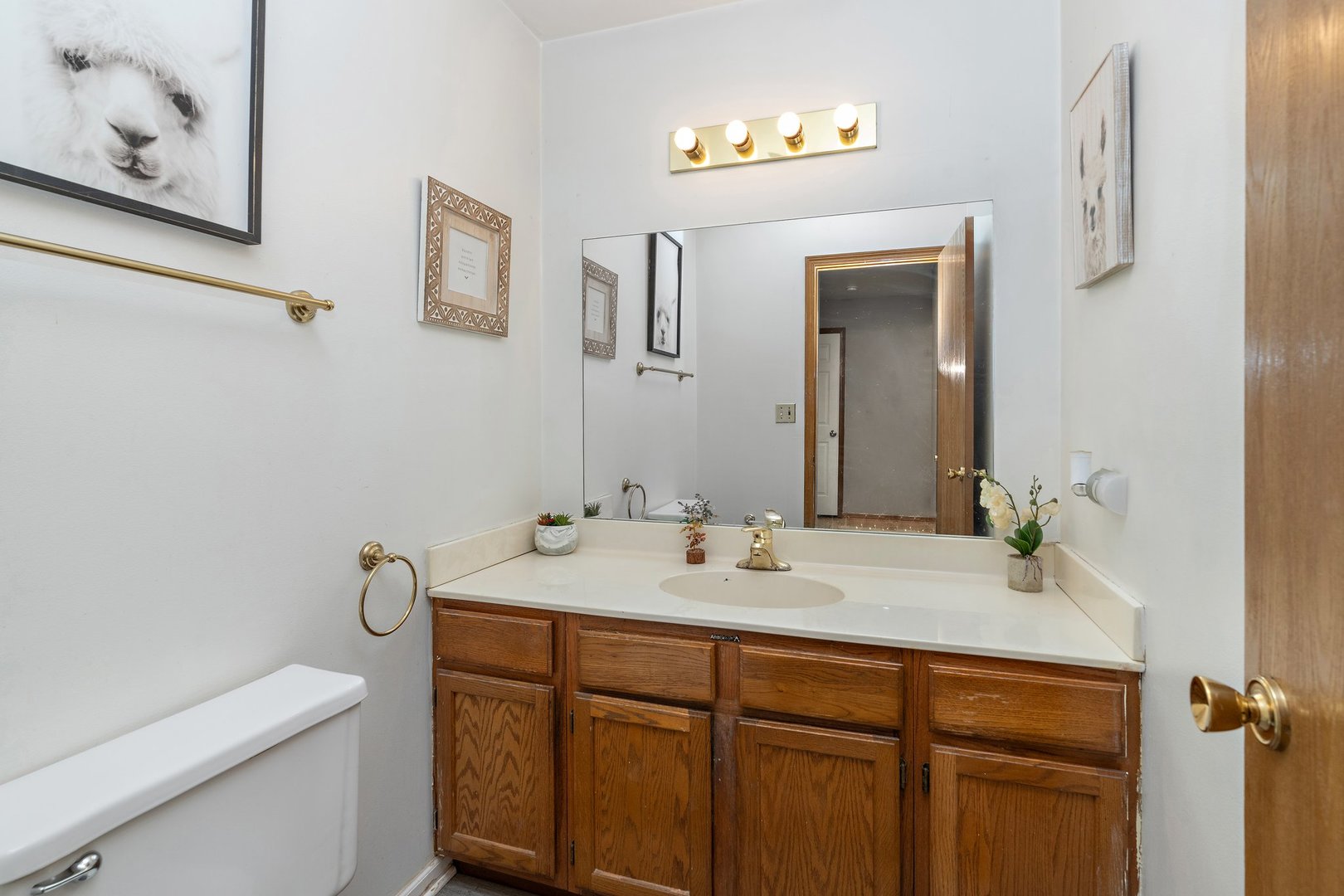 709 Meadows Boulevard Addison, IL 60101 - Photo 10 of 22 a bathroom with a sink and a mirror