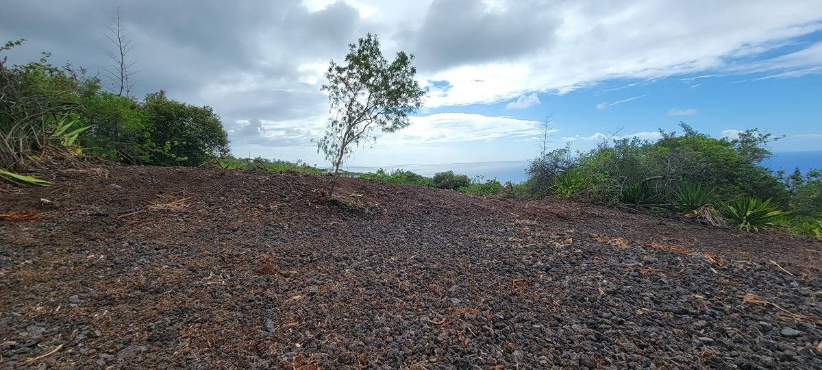 19 Milolii Road, Unit 19 Captain Cook, HI 96704 - Photo 9 of 18 a view of a yard with a tree