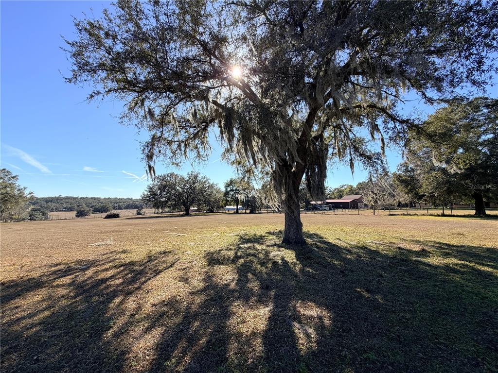 35324 Blanton Road Dade City, FL 33523 - Photo 10 of 49