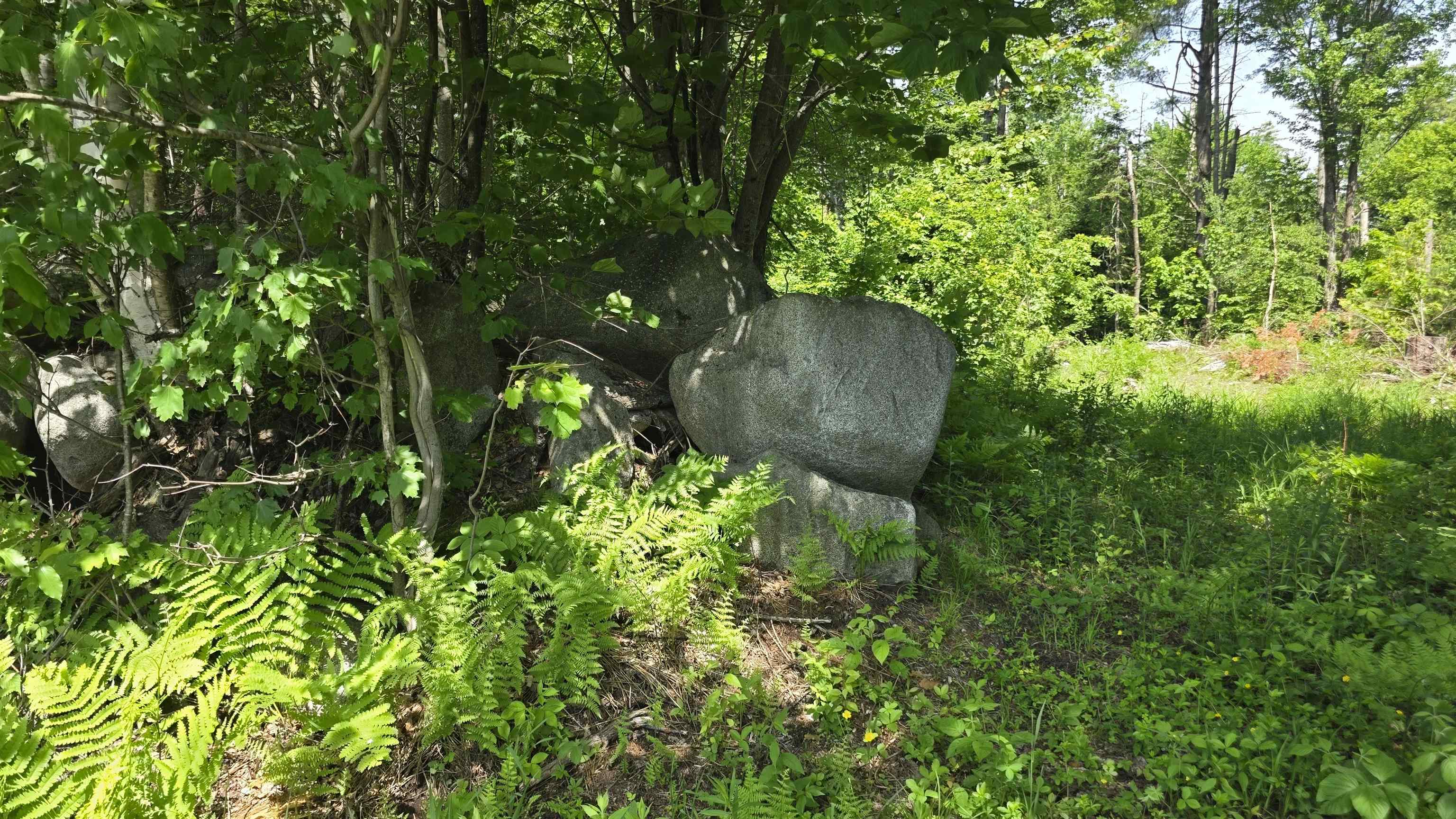 91 Venheim Road, Unit 1 Lunenburg, VT 05906 - Photo 26 of 57
