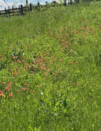 $479,900 | 0 Hwy 105 Brenham Tx 77833, Brenham, TX 77833