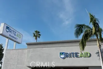 a view of rack with potted plant