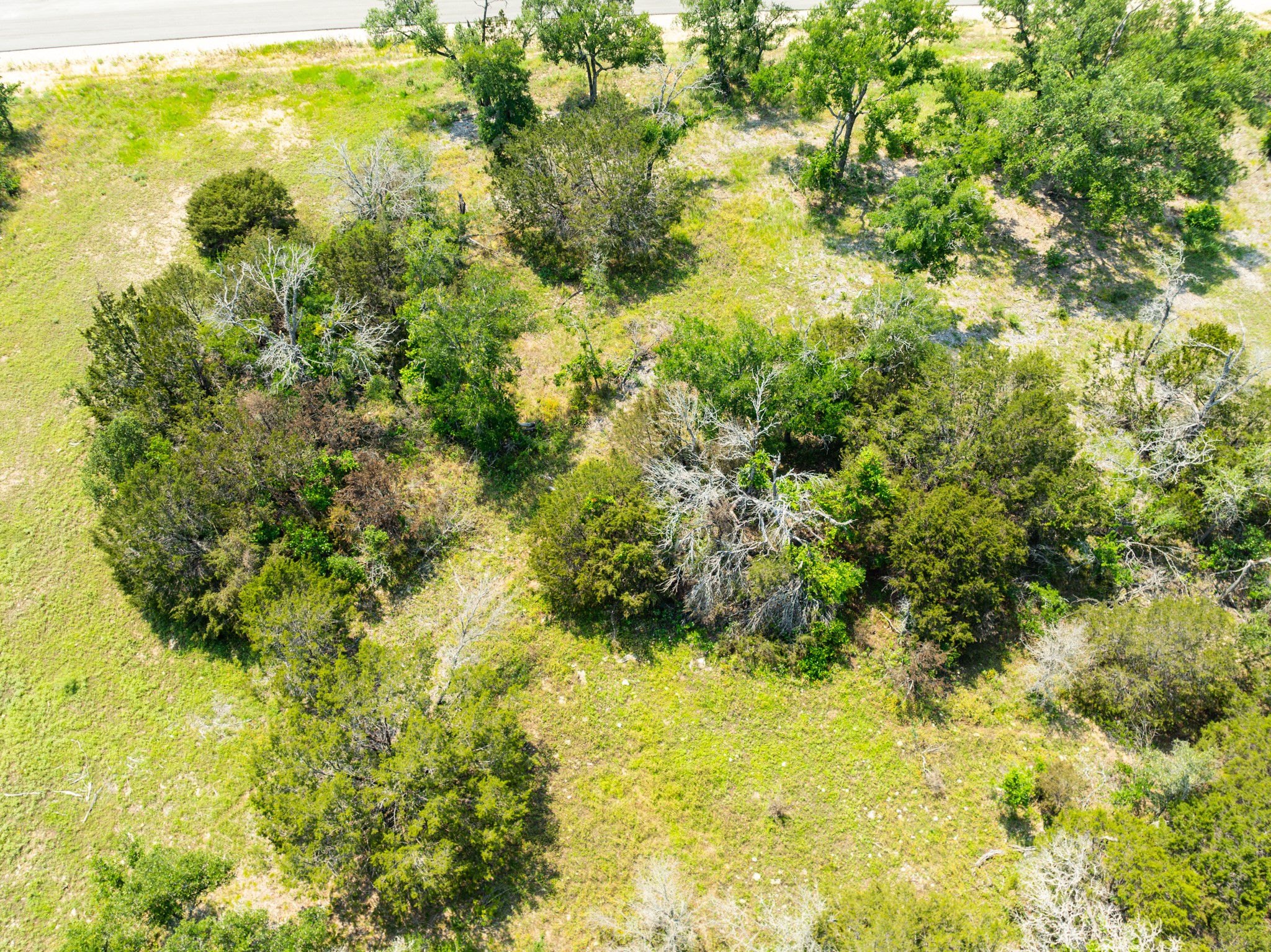 Tbd Tbd Pitchfork Ranch Road Copperas Cove, TX 76522 - Photo 23 of 35 a view of a garden