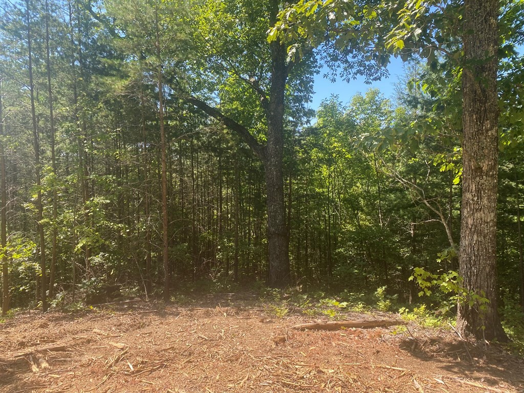 1882 Obes Branch Road Sevierville, TN 37876 - Photo 7 of 11